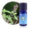 HE Basilic sacré bio  5 ml (OCIMUM SANCTUM L. (TULSI) plante fleurie ) oshadi