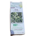 gui Phyto gem 40 ml