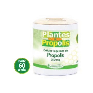 Gélules à la Propolis 250 mg