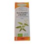 desockage HE eucalyptus citronné 10 ml  BIO (Eucalyptus citriodora feuille)