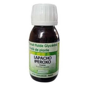 Lapacho EFGM