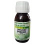 Lapacho EFGM