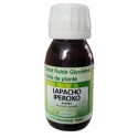Lapacho EFGM