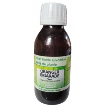 Oranger bigarade fleurs EFGM