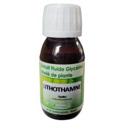Lithothamne  EFGM