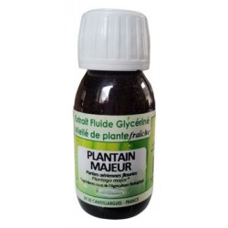 Plantain  EFGM BIO