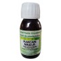 Plantain  EFGM BIO