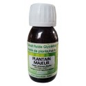 Plantain  EFGM BIO
