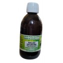 Mauve sylvestre EFGM BIO