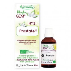Phyto gem n°13 : Prostate