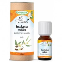 HE eucalyptus radié 10 ml  BIO ( EUCALYPTUS RADIATA feuille)