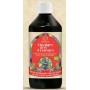Vinaigre des 4 voleurs