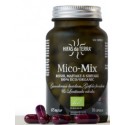 Mico Mix Synergie 3 champignons 70 gélules