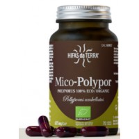 Mico polypor Polyporus umbellatus  30 gélules