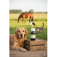 Phyto'cica animal 60 ml