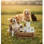 Pack Peau Sereine & Confort Cutané (Chien & Chat)