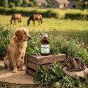 Phyt allerg animal