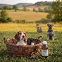 Phyto calm animal (250 ml)