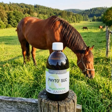 Phyto suc animal