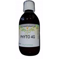 Phyto 4G