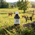 Phyto prost animal
