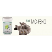 Feli TAO-FENG coryza 100 Gelules ( 25gr)