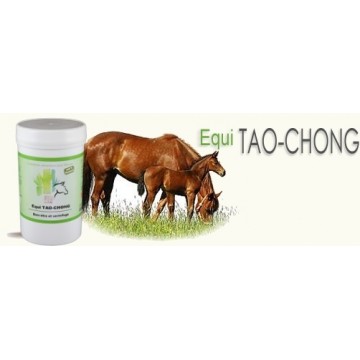 Equi TAO-CHONG aide a la  vermifugation pot 120 Gr