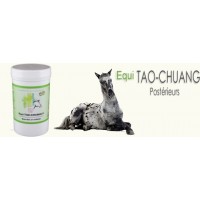 Equi TAO-CHUANG P abcés posterieur pot 120 Gr