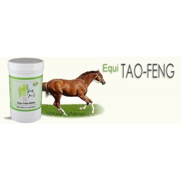 Equi TAO-FENG infection ORL pot 120 Gr