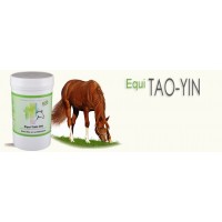 Equi TAO-YIN vitalité  pot 120 Gr