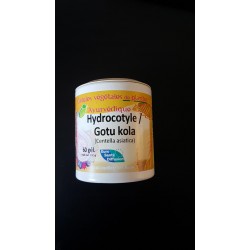 Hydrocotyle ( centella asiatica )   gel 325mg / gel Boite de 60 gel