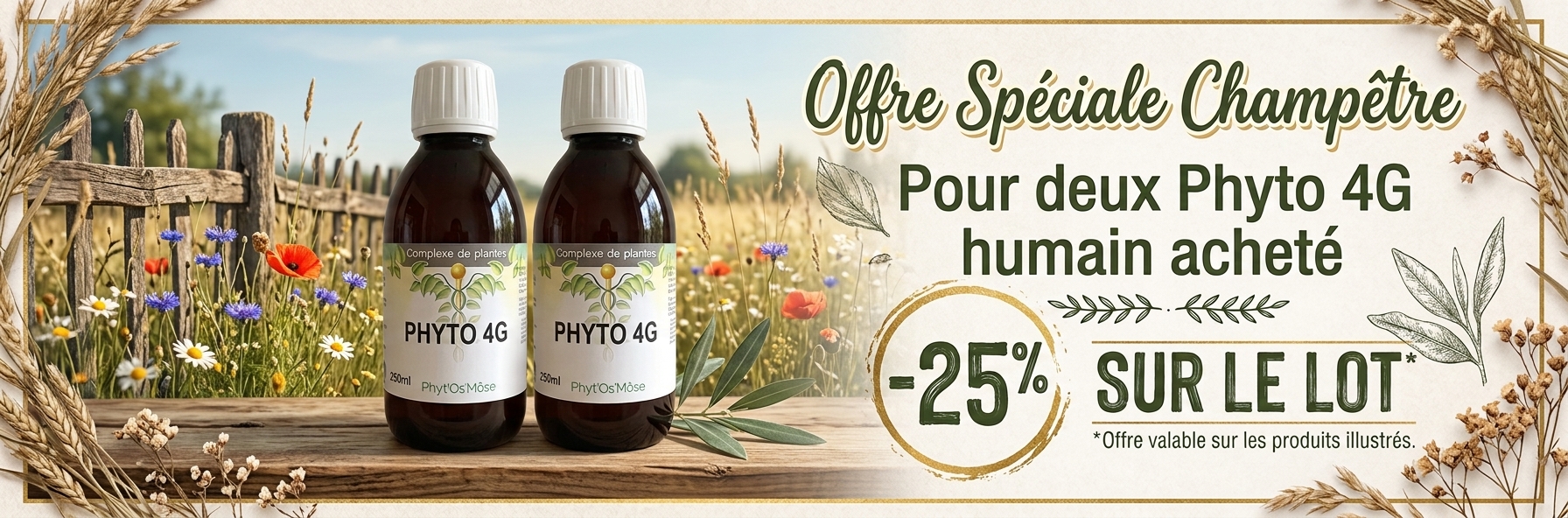 promotion lot de phyto 4G 