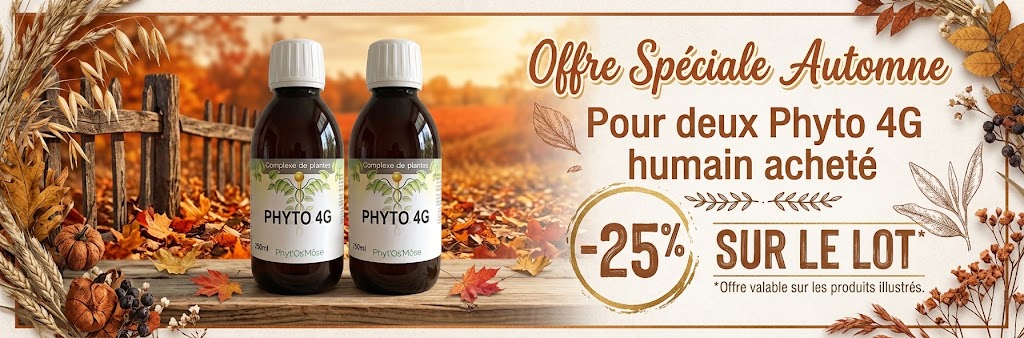 promotion lot de phyto 4G 